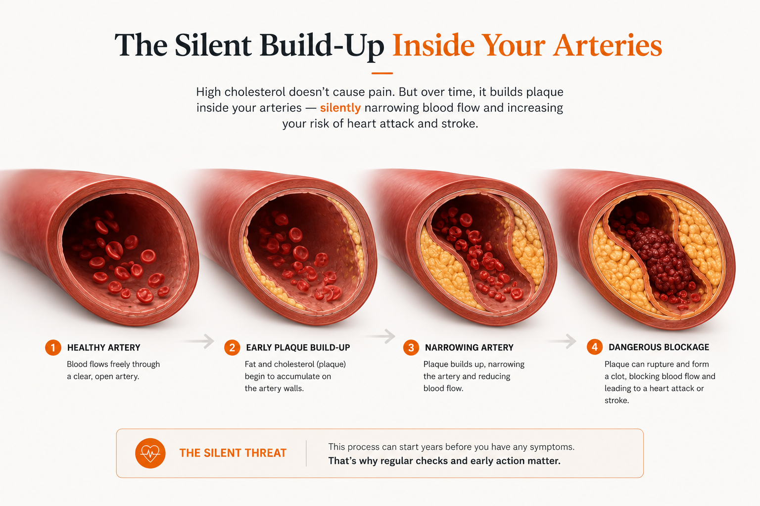 05-26 – Head in the Sand - Whats Really Happening Inside Your Body Right Now_Img03