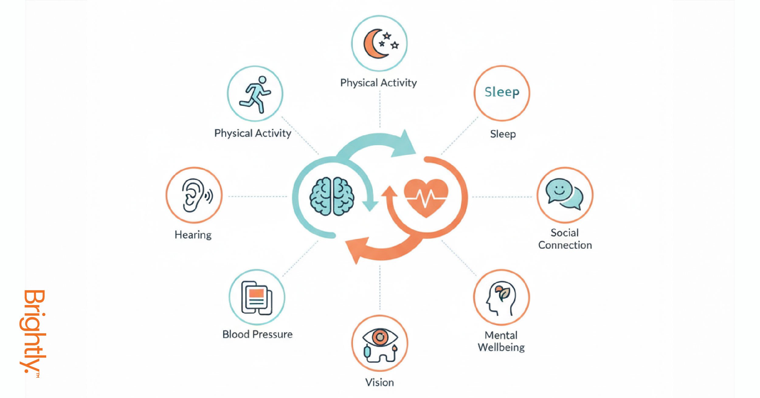 Brightly-is-dementia-an-inevitable-part-of-ageing-blog-images-08