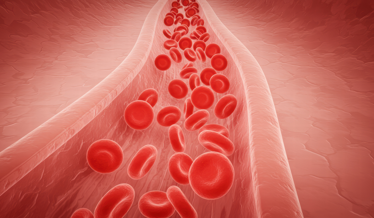 Brightly-Biomarkers-3d-illustration-red-blood-cell-blood-vessel-high-blood-cholesterol-thickened-arteries-ve