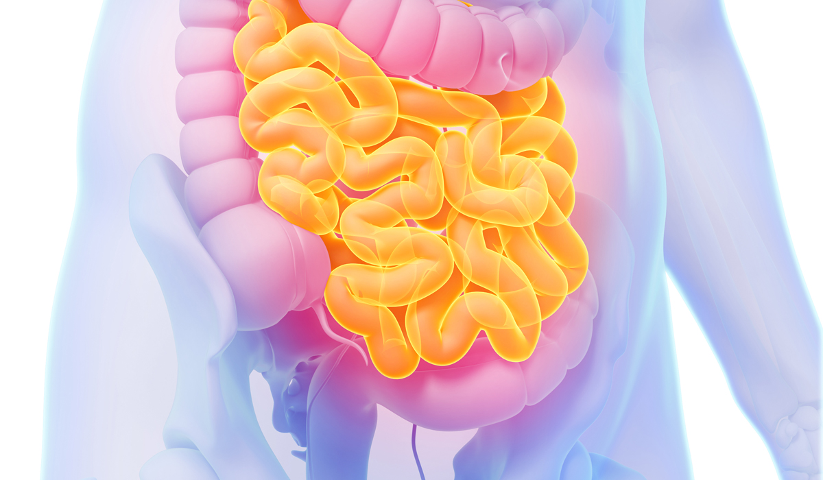 Brightly-Biomarkers-3d-rendered-illustration-small-intestine