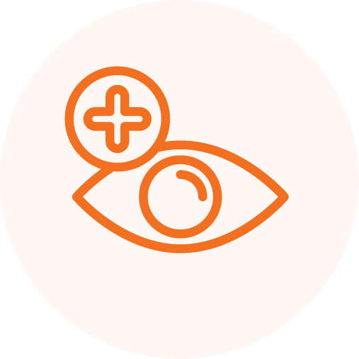 Vision_1